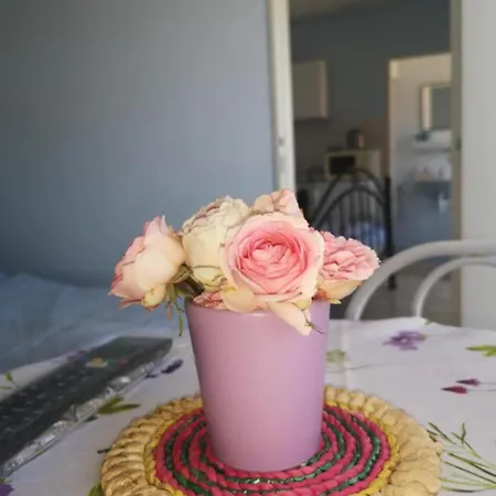 Hodosi Veľký Meder